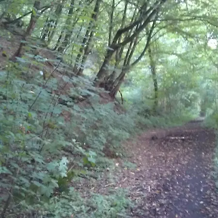 Im Kuehlen Grunde Garni Pracht