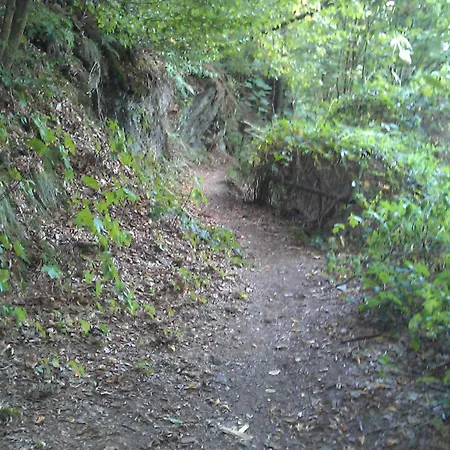 ホテル Im Kuehlen Grunde Garni 3*