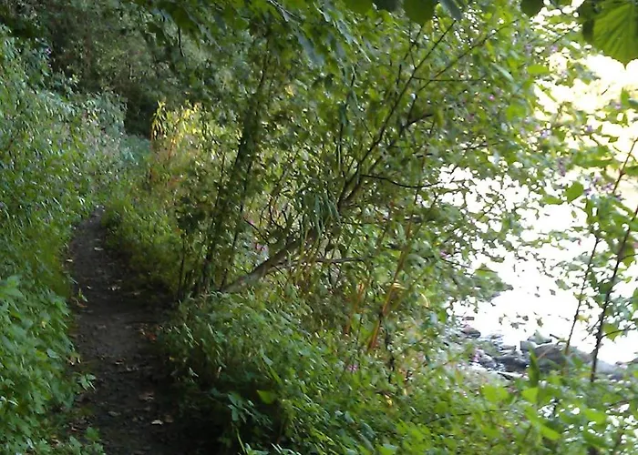 Im Kuehlen Grunde Garni 3*