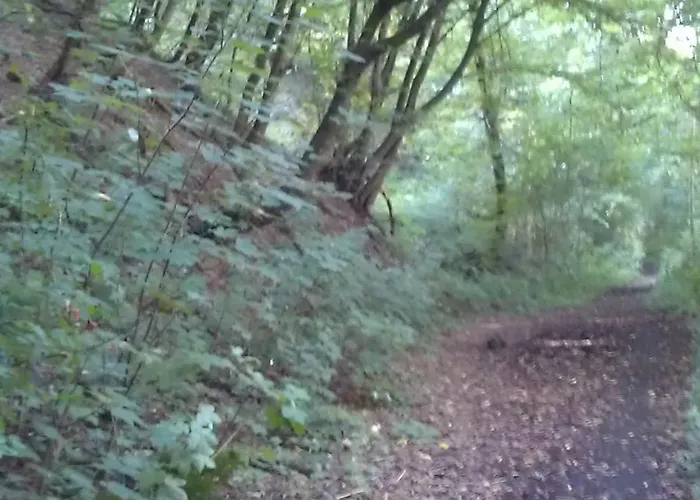 Im Kuehlen Grunde Garni Pracht