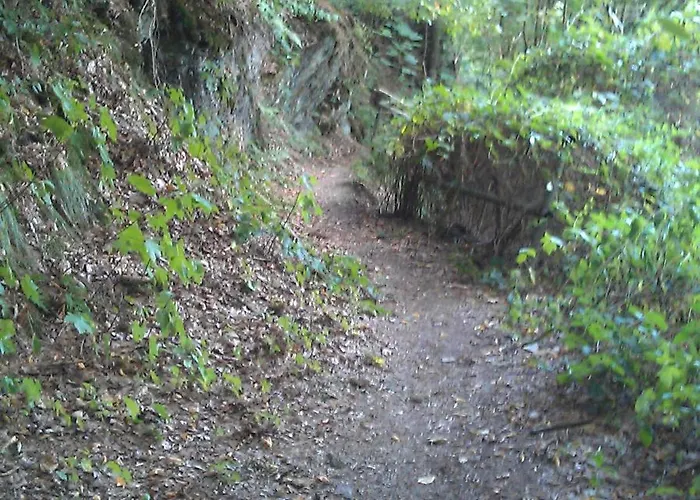 מלון Im Kuehlen Grunde Garni 3*